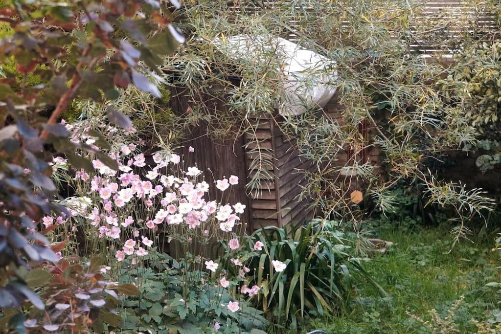 Cosy 1 Bedroom With Garden 2 Min From Seafront 브라이턴 외부 사진